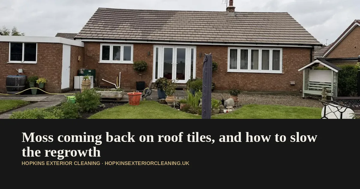 Moss coming back on roof tiles along the shaded north pitch of a house near Thirsk